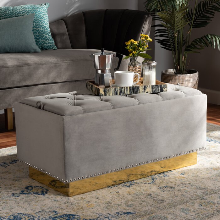 Willa Arlo Interiors Mantorville Velvet Storage Ottoman And Reviews Wayfair